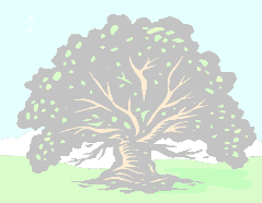 Arbor Day Tree Graphic