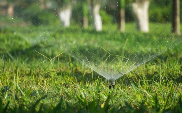 Sprinkler spraying water in green lawn.