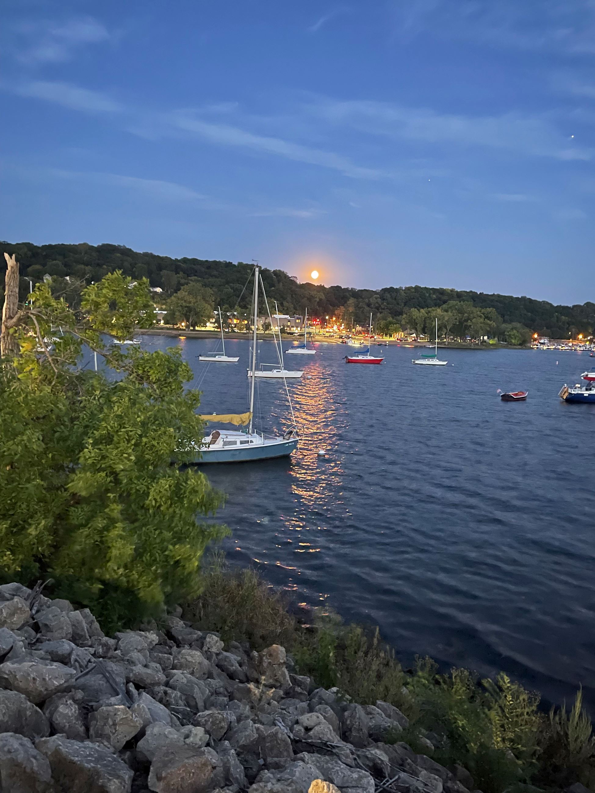 Image of the Hudson Sailboat Mooring Field on St. Croix River From Dike Road Image by Susan Byrne
